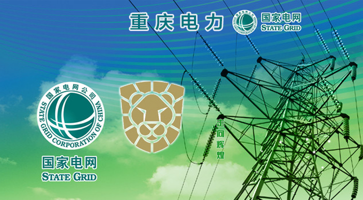 瑞星助力能源行業(yè) 護(hù)航重慶電力虛擬化系統(tǒng)